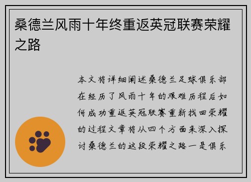 桑德兰风雨十年终重返英冠联赛荣耀之路 桑德兰风雨十年终重返英冠联赛荣耀之路